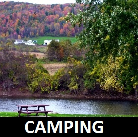 Camping at Tall Pines Campground & River Adventures