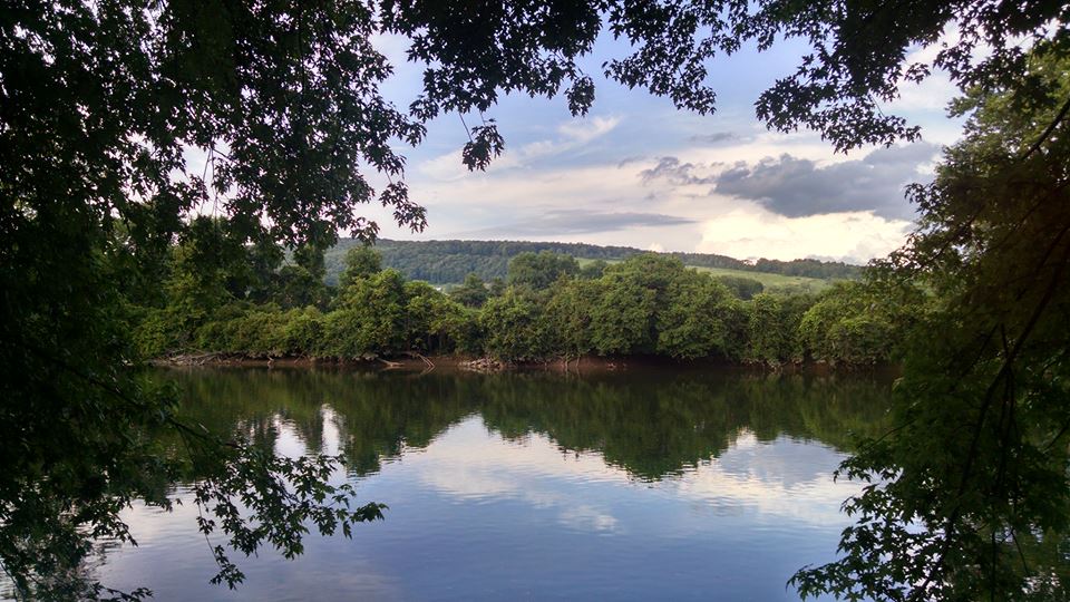 Unadilla River at Tall Pines Campground & River Adventures